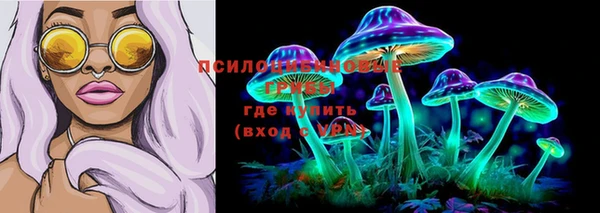 ПСИЛОЦИБИНОВЫЕ ГРИБЫ Аркадак