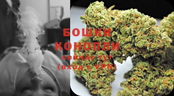 ПСИЛОЦИБИНОВЫЕ ГРИБЫ Аркадак