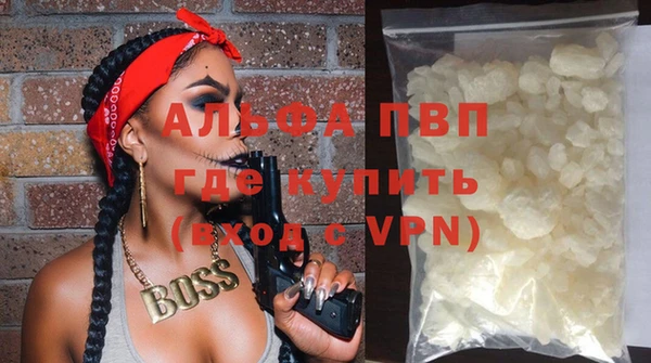эйфоретик Арсеньев