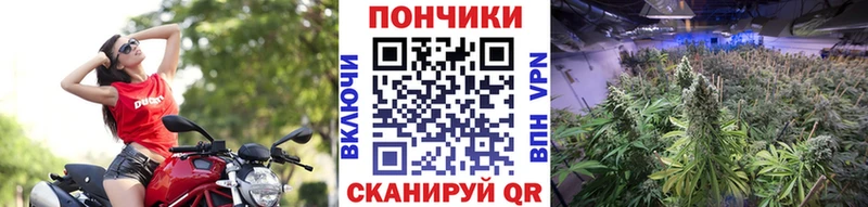МАРИХУАНА марихуана Дорогобуж
